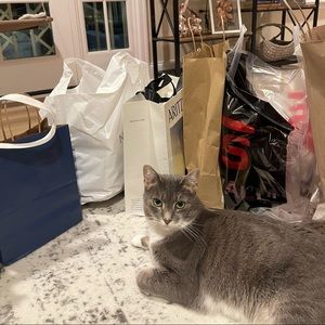 Meet your Posher, Drew